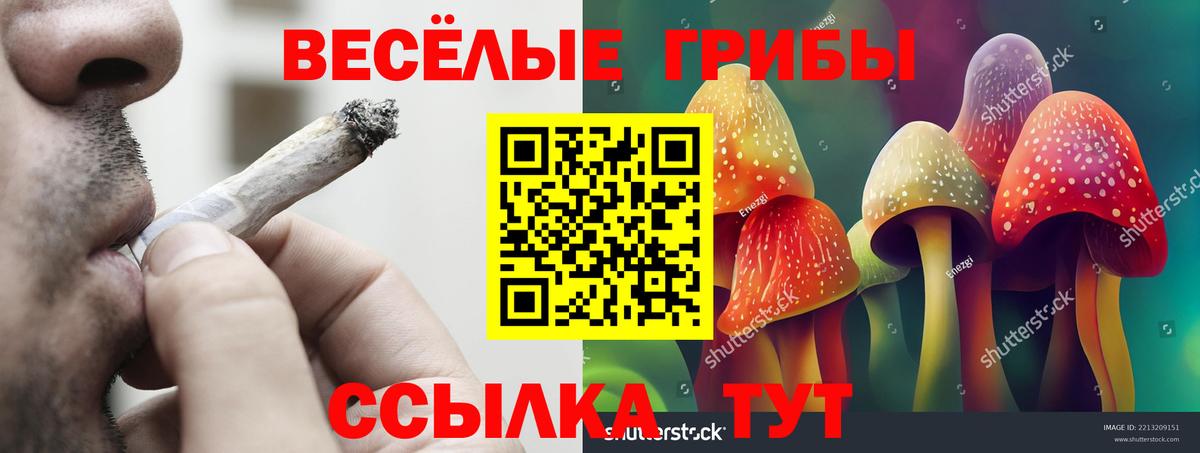 Псилоцибиновые грибы Magic Shrooms  Вход с VPN  Галлюциногенные грибы мухоморы  Спасск-Дальний 